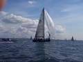 videos de Cutting Edge TP52