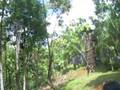 UPV ROTC Camp Visit 08 (slide for life) II