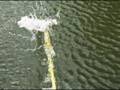 will it float? - mop