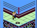 wcw world championship wrestling nes complete speed run - part 3 done on an nes console with an original nes controller. peformed by daniel t. opponents road warrior hawk lex luger ricky 