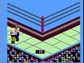 wcw world championship wrestling nes complete speed run - part 3 done on an nes console with an original nes controller. peformed by daniel t. opponents road warrior hawk lex luger ricky 