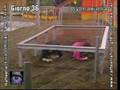 calamaro_gigante