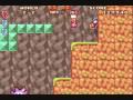 Super Mario Advance: Peach Birdo fun and tricks Super Mario Advance: Peach Birdo fun and tricks