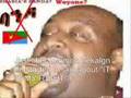 tamagne beyene Woyane?