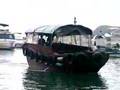 tige RZ2