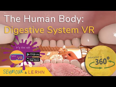 Human Digestive System in VR!!! | Education in 360 - YouTube