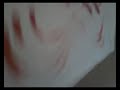 Otoño27.avi