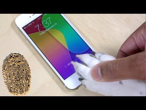 Dog paw unlock