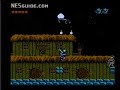 www.nesguide.com