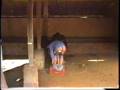 videos de Filme.wmv