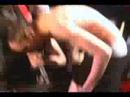 Mindless Self Indulgence \"Panty Shot\" Mindless Self Indulgence \"Panty Shot\"