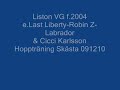 Liston VG 091210.wmv