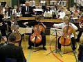 US Nord - Dyrenes Karneval - Svanen