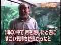 Aquarium Toilet