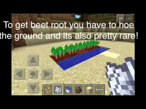 how to get carrots in minecraft pe