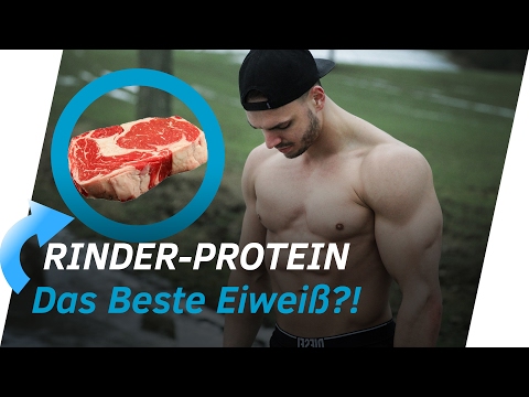 RINDER-PROTEIN FÜR MUSKELAUFBAU!? 99% Eiweiß-Anteil 💪 | Andiletics