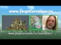 Site: www.jorgecervantes.tv Livestream: www.ustream.tv T-shirts: jorge.spreadshirt.com