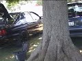 WagonFest - Chapter 6 - Wagons and Sedans