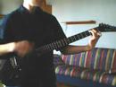 The Cranberries - Animal Instinct (Acoustinc) by  WebSpider