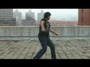 LOL ROFLMFAO COOL SHADOW FIGHT PARODY MAKE FUN LOOKS LAME