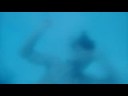 Shark Attack!