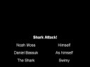 Shark Attack!