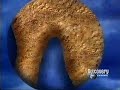Paleomundo-38 Tiburones Prehistóricos ( 2/3 )