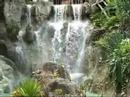 Jardins Botaniques