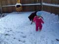 videos de Charlotte and Cheyenne in the snow