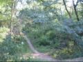 Insane 50 Km/h Mtb Wheelie On Cobblestone Pavement/ Stoppie Insane 50 Km/h Mtb Wheelie On Cobblestone Pavement/ Stoppie