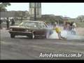 Opala