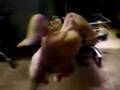 videos de el pollito volador de jose