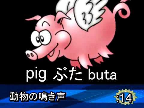 My Pet in Japanese: text, images, music, video | Glogster EDU