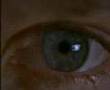 fluke trailer - Fluke - Flixster Video