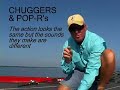 Topwater Fishing- Can you walk the dog? Topwater Fishing- Can you walk the dog?