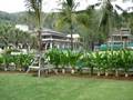Katathani Phuket Beach Resort Tour 2008