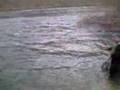 Taneycomo Trout Fishing Branson, Missouri
