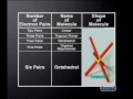 Chemistry - Chemical Bonding: Applying the VSEPR Model
