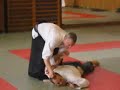 Aikido - NIKYO - shomen ate Aikido - NIKYO - shomen ate