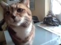 MOV00083.MP4