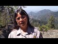 Smog and air pollution can travel thousands of miles. The result is often air pollution where it is least expected. This is especially shocking in Sequoia National Park, where the air quality can sometimes be as bad as in Los Angeles. (May 29)
