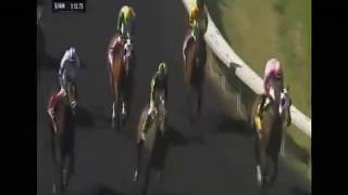 Living the Life defeats males All American Stakes Grade 3