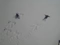 Snow Angels #2