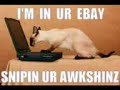 funny cat 4