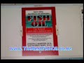 Jeff Bost straight how 2 get omega 3 in diet