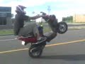 burn wheelie bw\