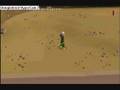 videos de wht dhide first stake