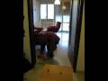 videos de Il Mostro di Padova