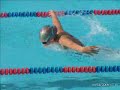 FHSAA Swimming/Diving at Satellite High