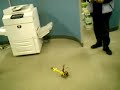 ハニービー動画